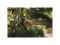 Секатор плоскостной FISKARS Xseries PowerGear L P961
