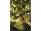 Секатор контактный FISKARS PowerStep с храповым механизмом