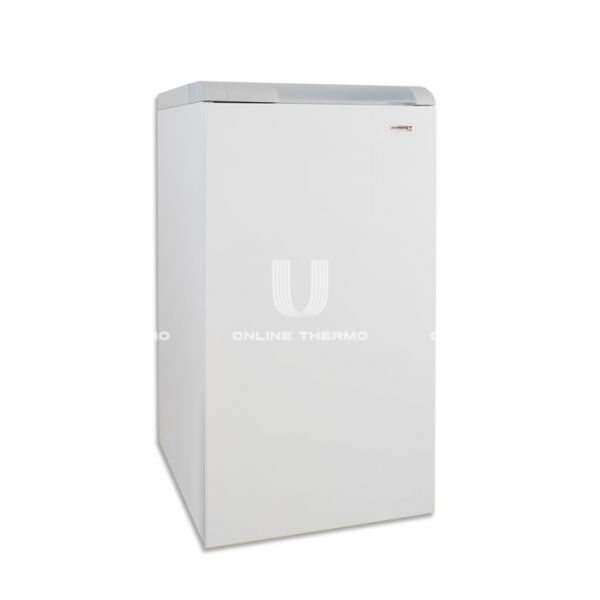 Напольный чугунный газовый котел Protherm Медведь (Bear) 50 TLO 50TLOR15, одноконтурный, открытая камера, 44.5 кВт