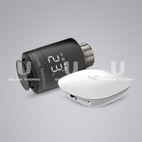Стартовый набор для управления отоплением Royal Thermo RTSMARTHB, M30х1.5 + Click, черный