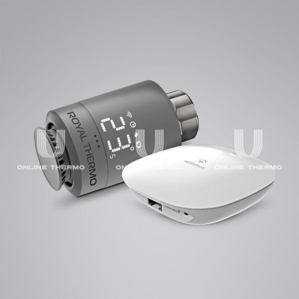 Стартовый набор для управления отоплением Royal Thermo RTSMARTHS, M30х1.5 + Click, серебристый