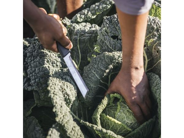 Нож садовый K82 X-series FISKARS