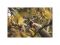 Секатор плоскостной FISKARS Xseries PowerGear L P961