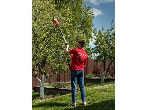 Высоторез WORTEX PS 2001 + насадка-кусторез в кор.(750 Вт, шина 8', автосмазка, телескоп. штанга  до 2 м)