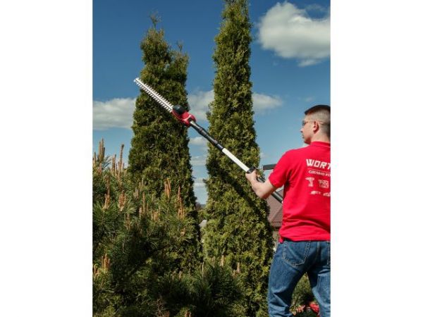 Высоторез WORTEX PS 2001 + насадка-кусторез в кор.(750 Вт, шина 8', автосмазка, телескоп. штанга  до 2 м)