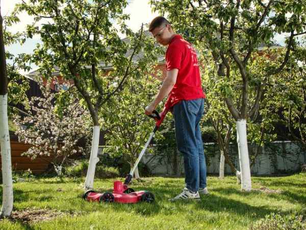 Триммер WORTEX TB 2818 ALL1 XLT SET 18В, шир.скаш.300 мм, авт.подача лески, леска 1.6 мм(2 Ач акб и зу, с тележкой, поворотная голова, поворотная телескоп.штанга)