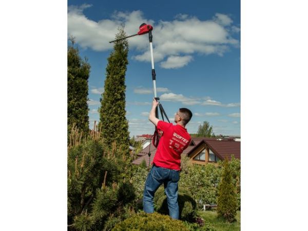 Высоторез WORTEX PS 2001 + насадка-кусторез в кор.(750 Вт, шина 8', автосмазка, телескоп. штанга  до 2 м)