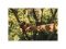 Секатор плоскостной FISKARS Xseries PowerGear L P961