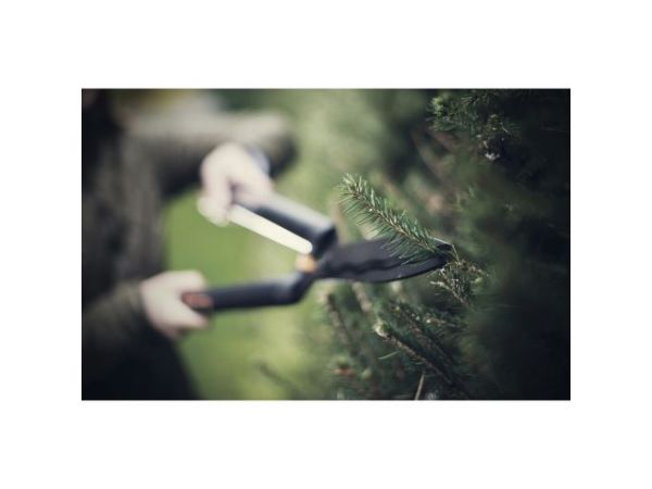 Ножницы для живой изгороди HS22 с волнообразным лезвием FISKARS SingleStep