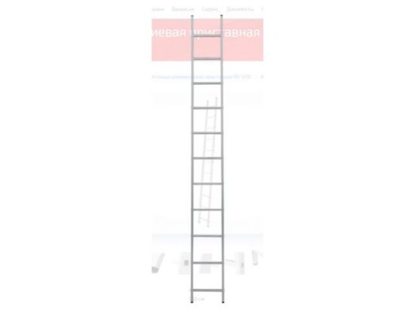 Лестница алюм. односекц. 289см 11 ступ., 4,0 кг PRO STARTUL (ST9945-11)