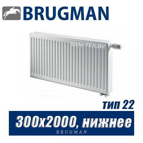 Радиатор Brugman FEV тип 22 300x2000, нижнее подключение