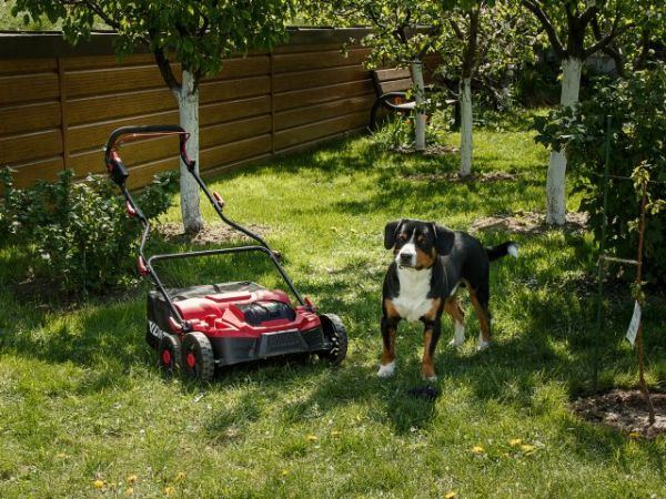 Аэратор-скарификатор WORTEX CAE 3736 ALL1 XLT SOLO БЕСЩЁТ.ДВИГ., 18В+18В, шир. 37 см(вал для аэрации, вал для скарификации, 5 рег.высоты, 45 л травосборник)