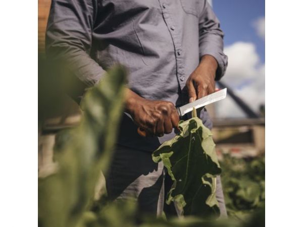 Нож садовый K82 X-series FISKARS