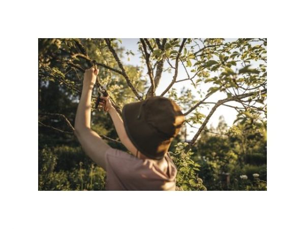 Секатор плоскостной FISKARS Plus PowerLever P721