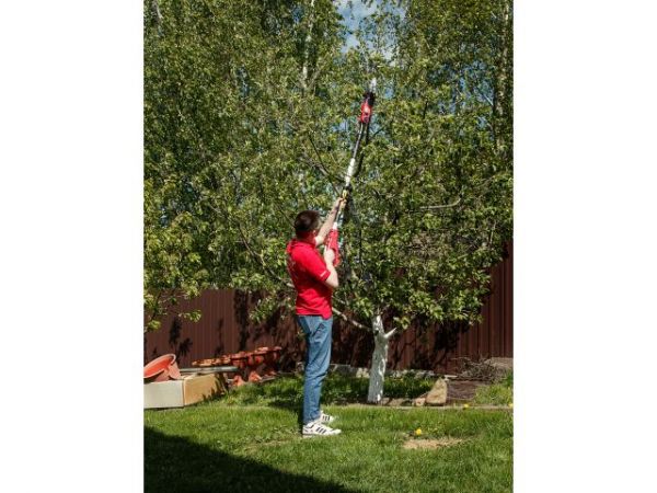 Высоторез WORTEX PS 2001 + насадка-кусторез в кор.(750 Вт, шина 8', автосмазка, телескоп. штанга  до 2 м)